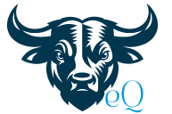 Equity Guy
